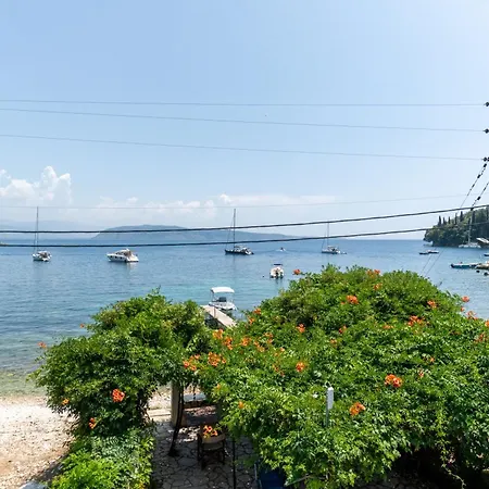 Stratigos * קלאמי